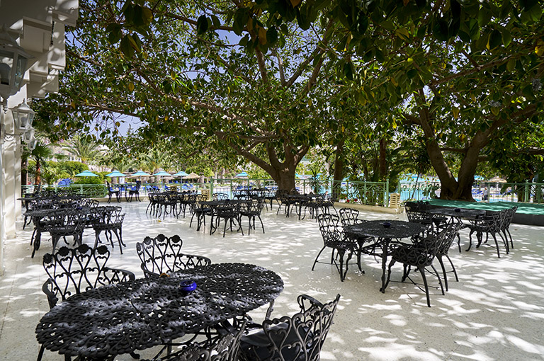 Terrasse Bar