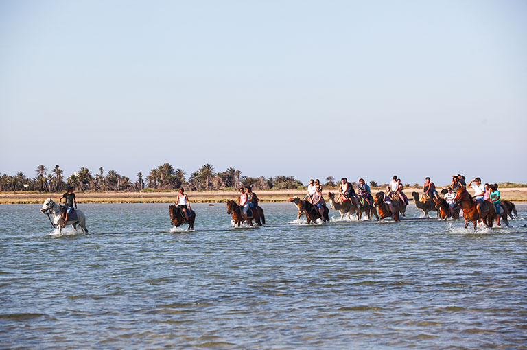 Balade à Chevaux