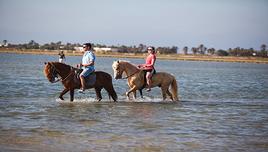 WEEK-END EL MOURADI PORT EL KANTAOUI 4*, All Inclusive (3 nuits)