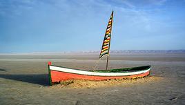 CIRCUIT DECOUVERTE DE LA TUNISIE @MOVENPICK RESORT MARINE & SPA SOUSSE 5* (7 nuits)